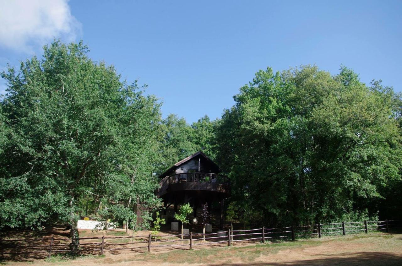 Cabane De La Mesange Auriac-du-Périgord Exterior photo